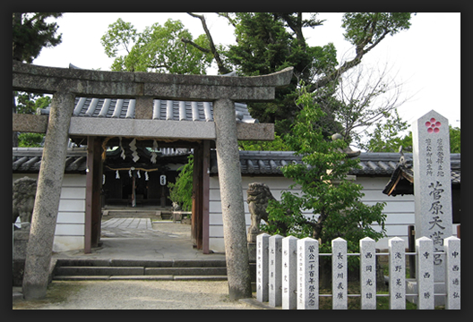 �����V���{